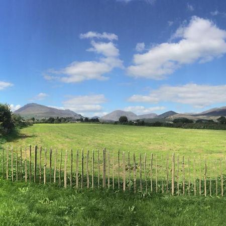 Willowtree Glamping Mournes Villa Annalong Esterno foto