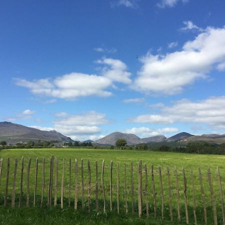 Willowtree Glamping Mournes Villa Annalong Esterno foto