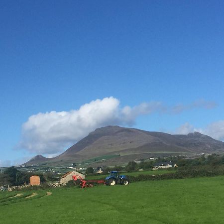 Willowtree Glamping Mournes Villa Annalong Esterno foto