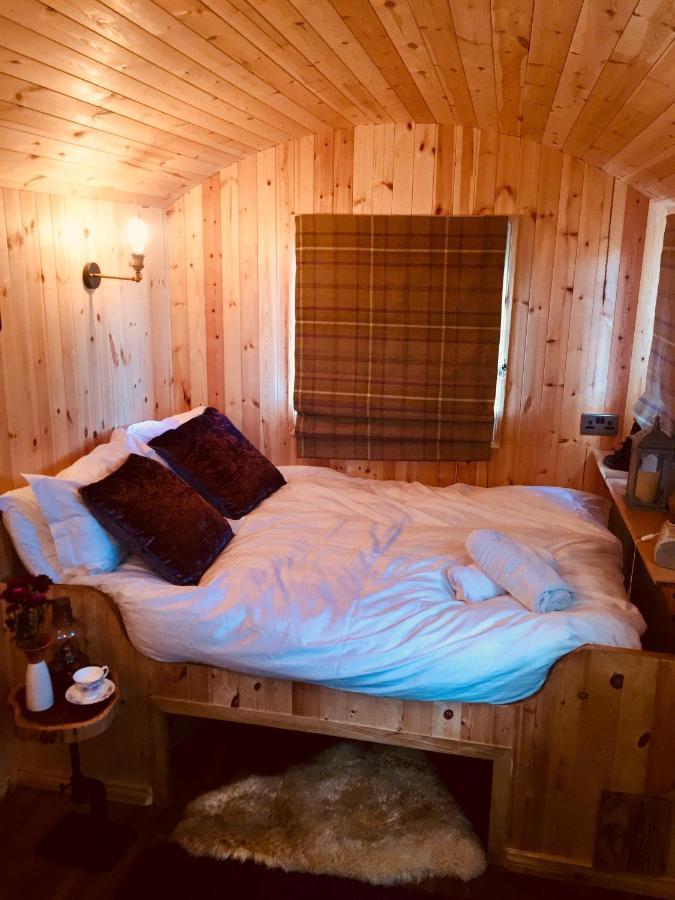 Willowtree Glamping Mournes Villa Annalong Esterno foto