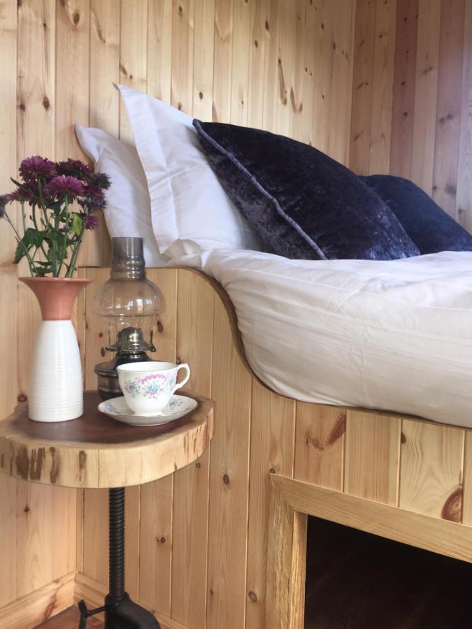 Willowtree Glamping Mournes Villa Annalong Esterno foto