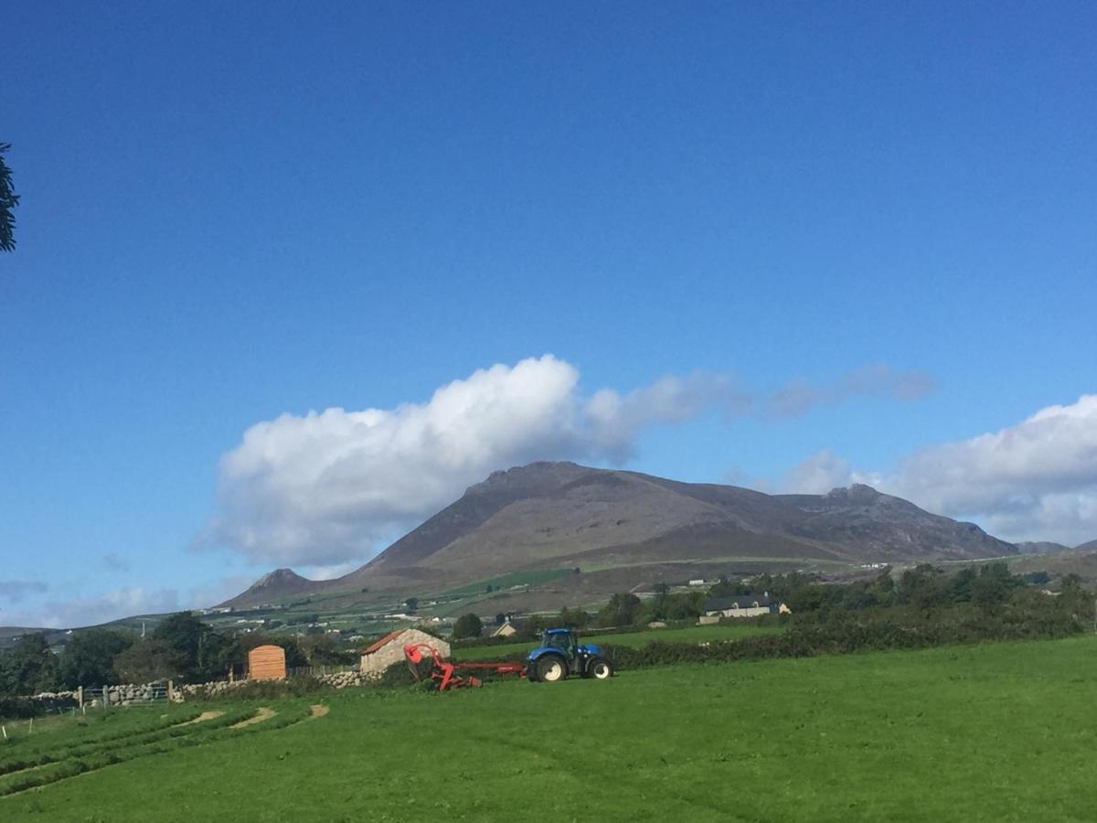 Willowtree Glamping Mournes Villa Annalong Esterno foto