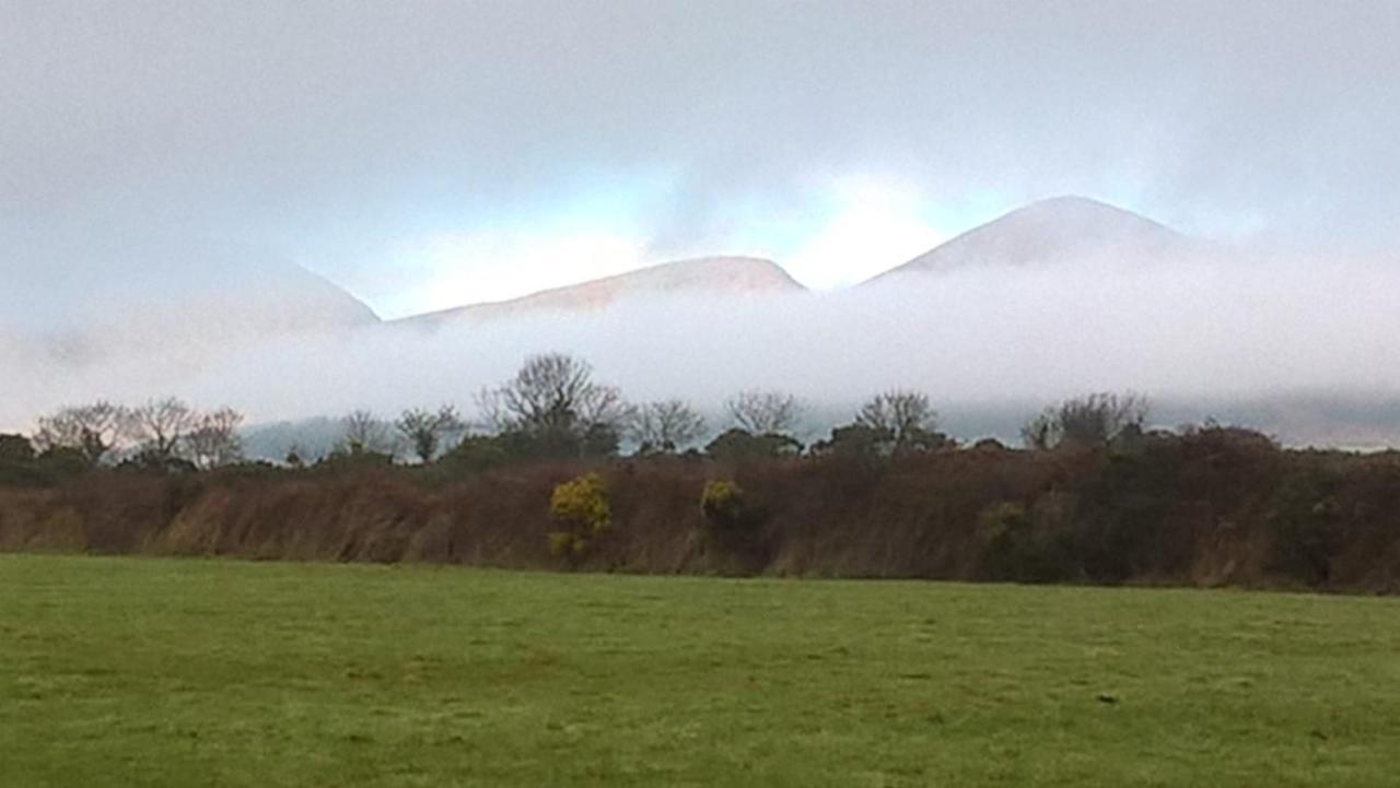 Willowtree Glamping Mournes Villa Annalong Esterno foto