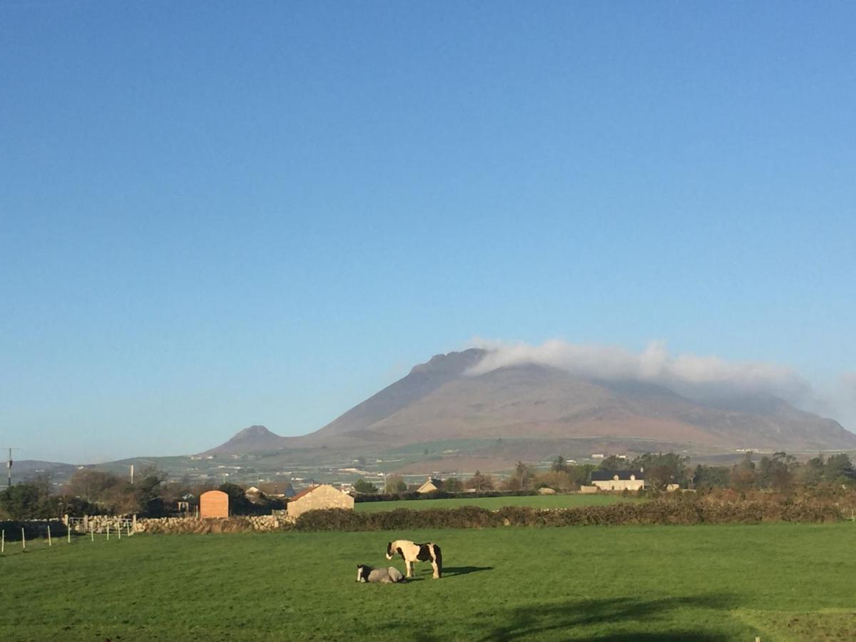 Willowtree Glamping Mournes Villa Annalong Esterno foto