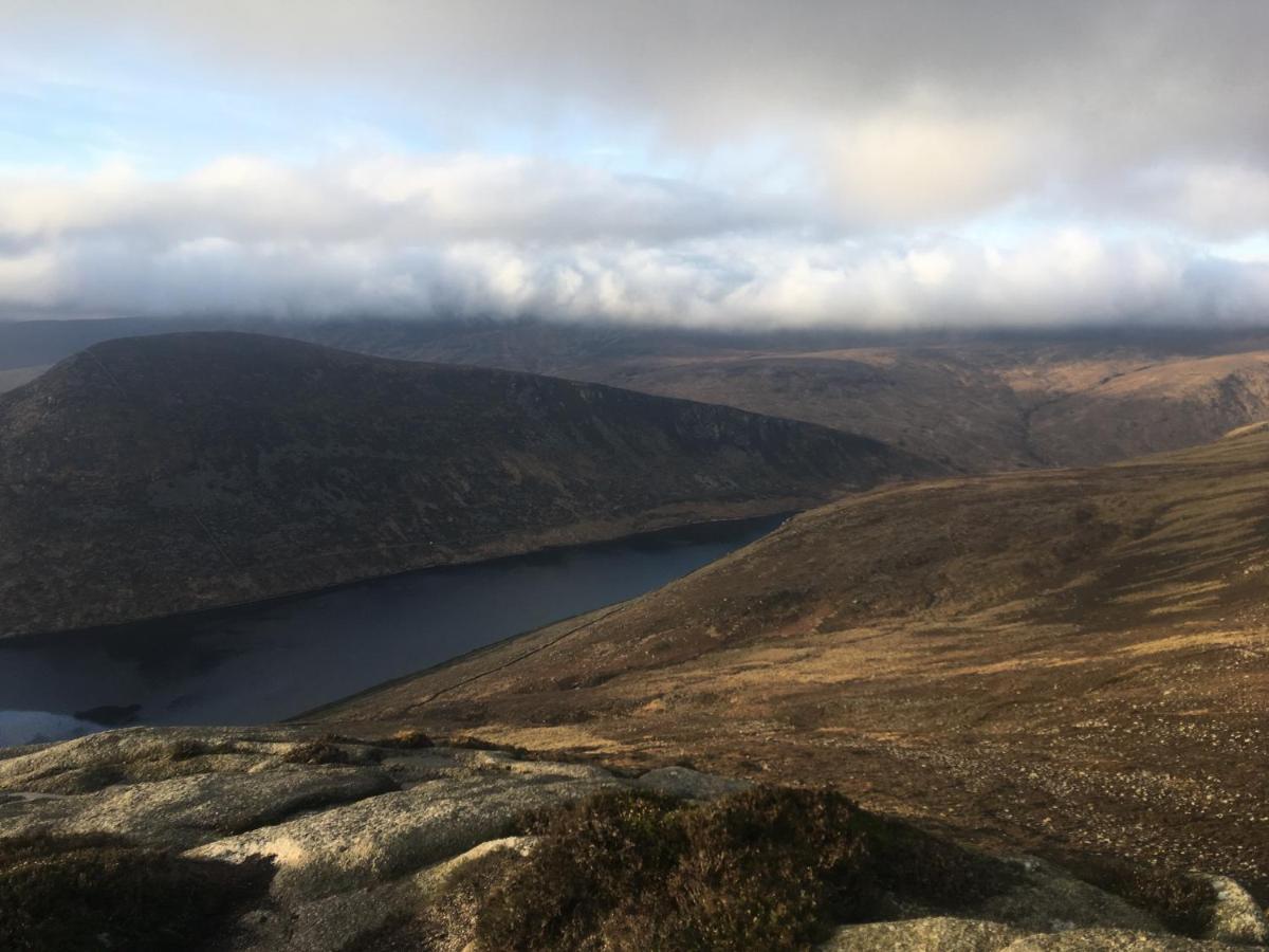 Willowtree Glamping Mournes Villa Annalong Esterno foto