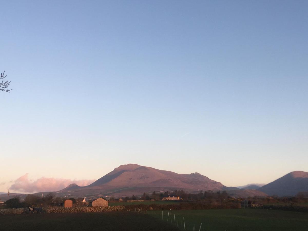 Willowtree Glamping Mournes Villa Annalong Esterno foto